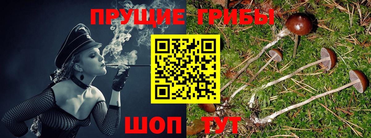 Галлюциногенные грибы мицелий  Псилоцибиновые грибы Cubensis  Чусовой  Вход с VPN 