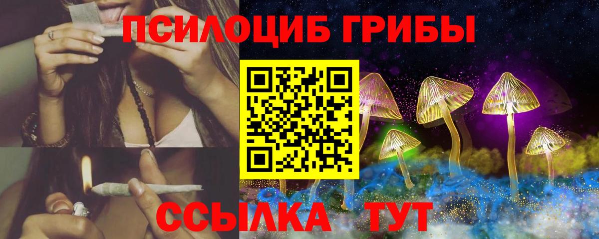Псилоцибиновые грибы GOLDEN TEACHER Чусовой